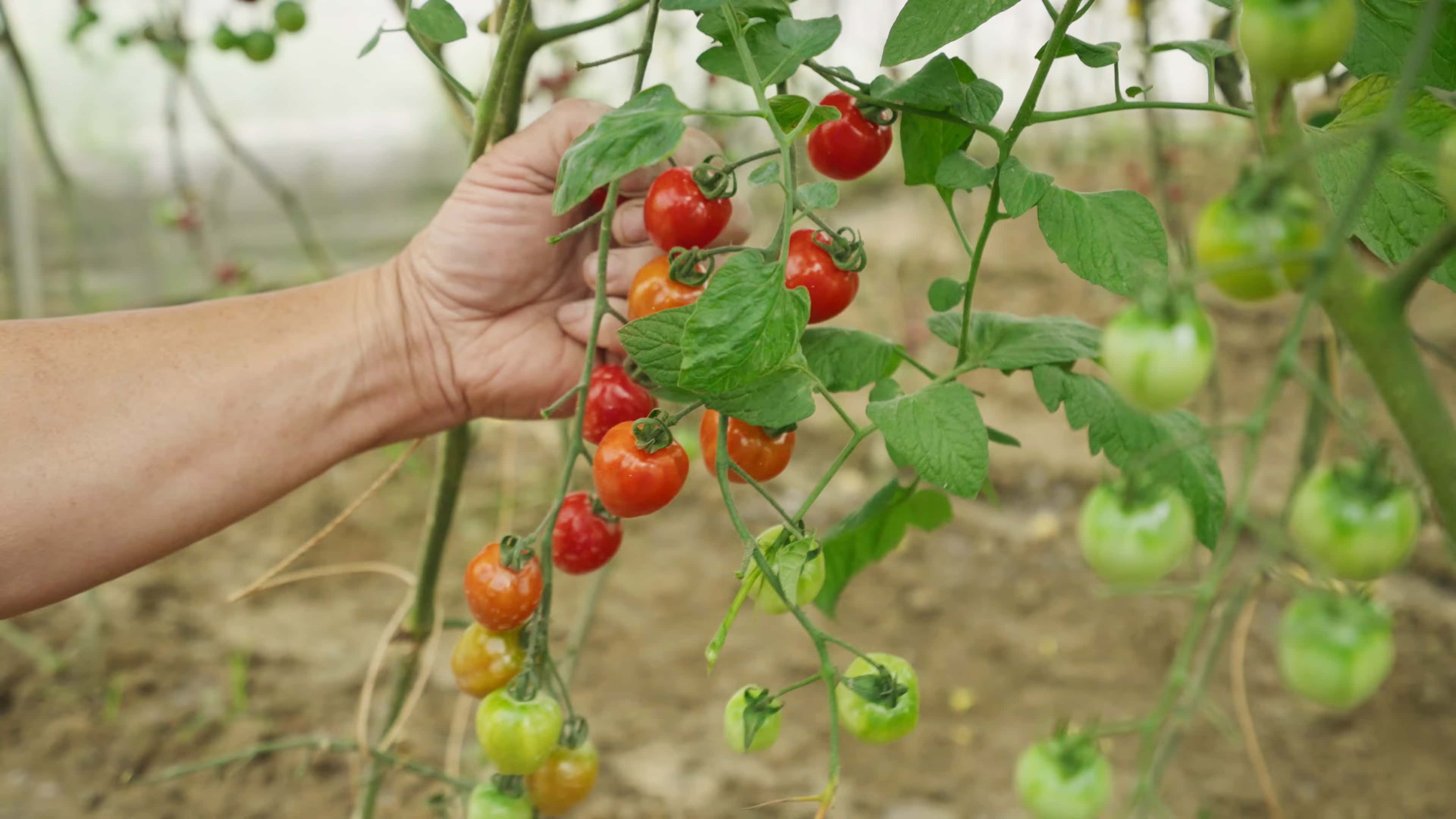 啟動 WeGen Farming 迴圈再生農業專案